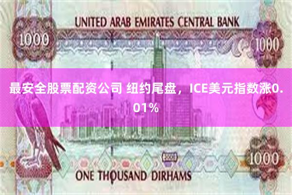 最安全股票配资公司 纽约尾盘，ICE美元指数涨0.01%