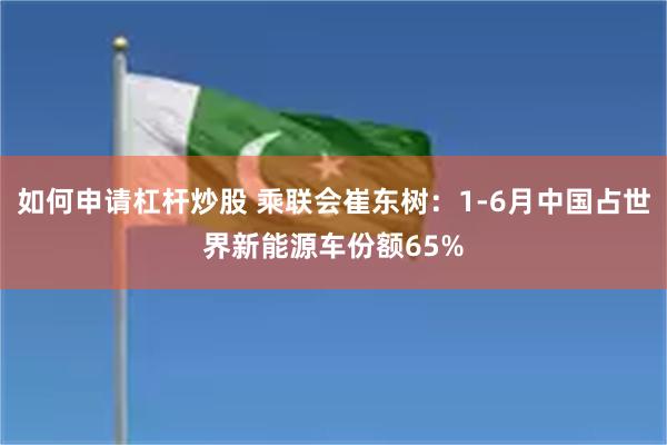 如何申请杠杆炒股 乘联会崔东树：1-6月中国占世界新能源车份额65%