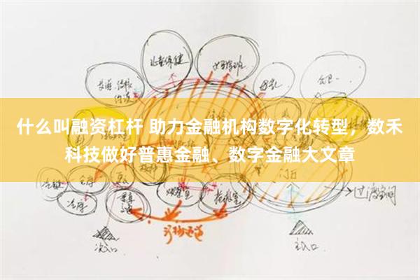 什么叫融资杠杆 助力金融机构数字化转型，数禾科技做好普惠金融、数字金融大文章