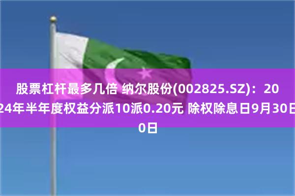 股票杠杆最多几倍 纳尔股份(002825.SZ)：2024年半年度权益分派10派0.20元 除权除息日9月30日