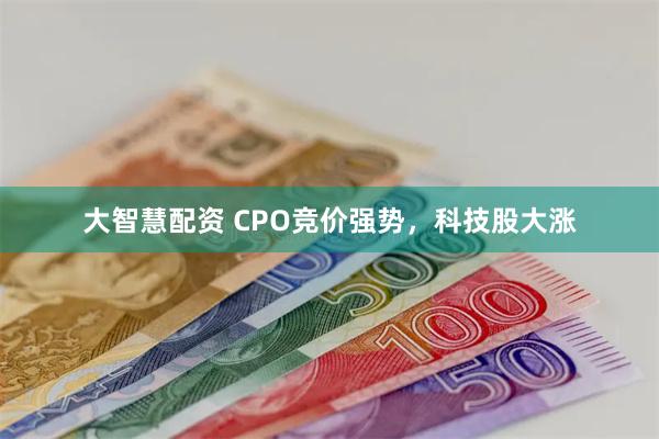 大智慧配资 CPO竞价强势，科技股大涨