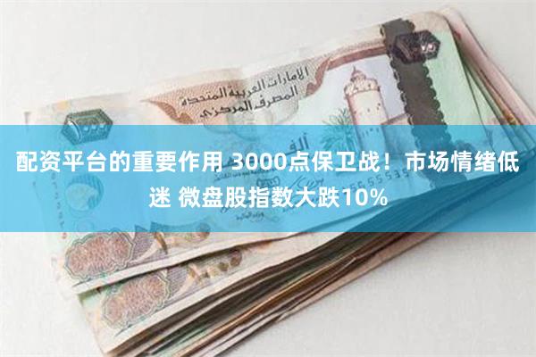 配资平台的重要作用 3000点保卫战！市场情绪低迷 微盘股指数大跌10%