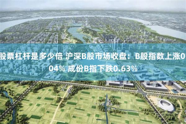 股票杠杆是多少倍 沪深B股市场收盘：B股指数上涨0.04% 成份B指下跌0.63%