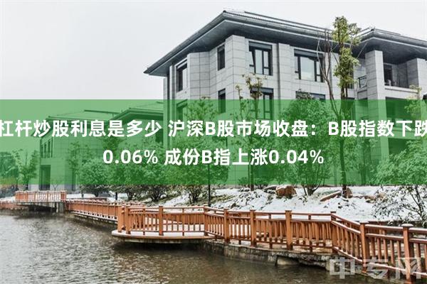 杠杆炒股利息是多少 沪深B股市场收盘：B股指数下跌0.06% 成份B指上涨0.04%