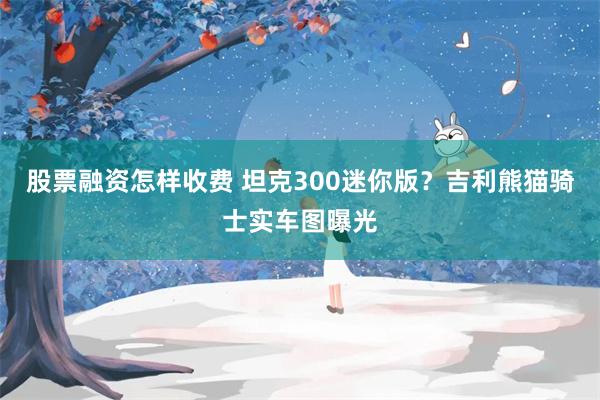 股票融资怎样收费 坦克300迷你版？吉利熊猫骑士实车图曝光